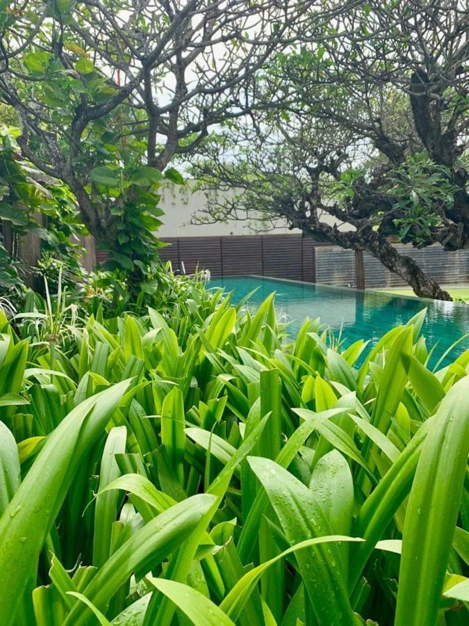 Ziva A Residence Seminyak  Ngoại thất bức ảnh